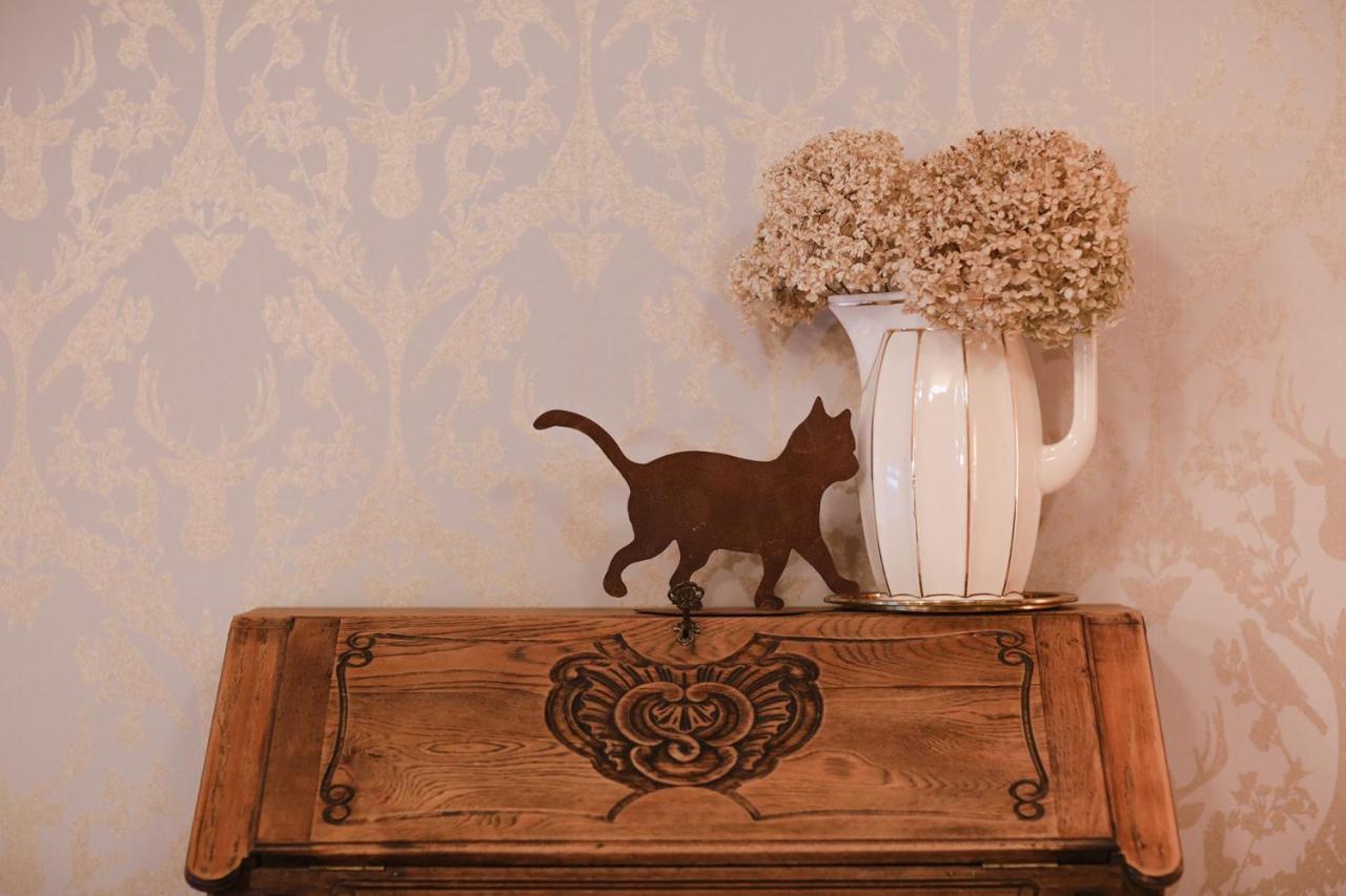 Les Chambres Du Chat Sainte-Cecile Luaran gambar