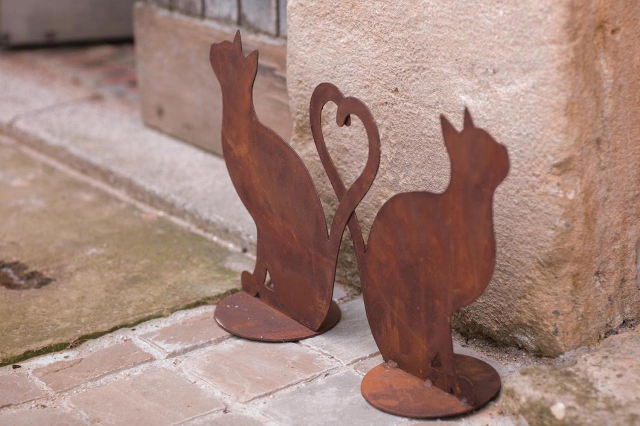 Les Chambres Du Chat Sainte-Cecile Luaran gambar