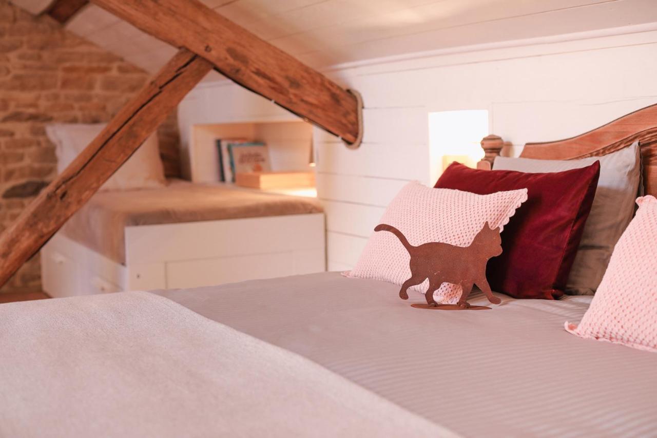 Les Chambres Du Chat Sainte-Cecile Luaran gambar