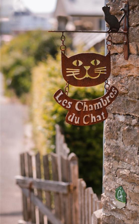 Les Chambres Du Chat Sainte-Cecile Luaran gambar